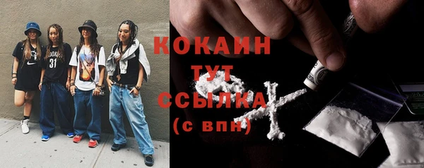 ПСИЛОЦИБИНОВЫЕ ГРИБЫ Богданович