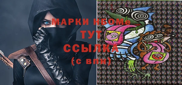 ПСИЛОЦИБИНОВЫЕ ГРИБЫ Богданович