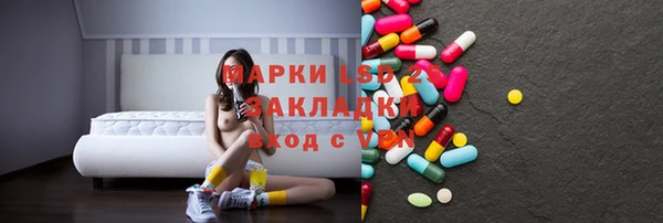 ПСИЛОЦИБИНОВЫЕ ГРИБЫ Богданович