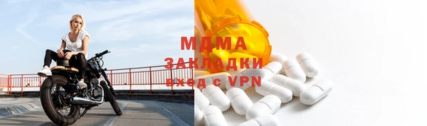 ПСИЛОЦИБИНОВЫЕ ГРИБЫ Богданович