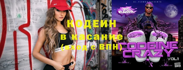 ПСИЛОЦИБИНОВЫЕ ГРИБЫ Богданович