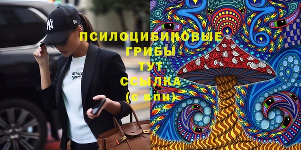 ПСИЛОЦИБИНОВЫЕ ГРИБЫ Богородицк