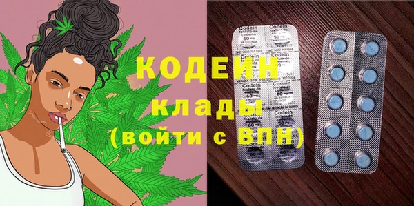стаф Богородск