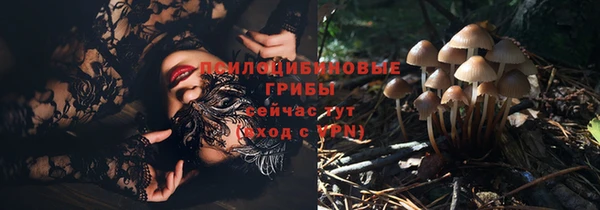 МДМА Бикин