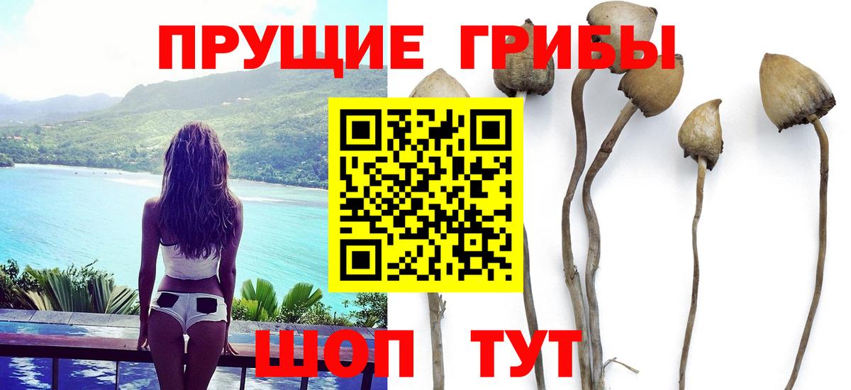 Галлюциногенные грибы Cubensis  купить наркотики сайты  Видное  Псилоцибиновые грибы мухоморы 