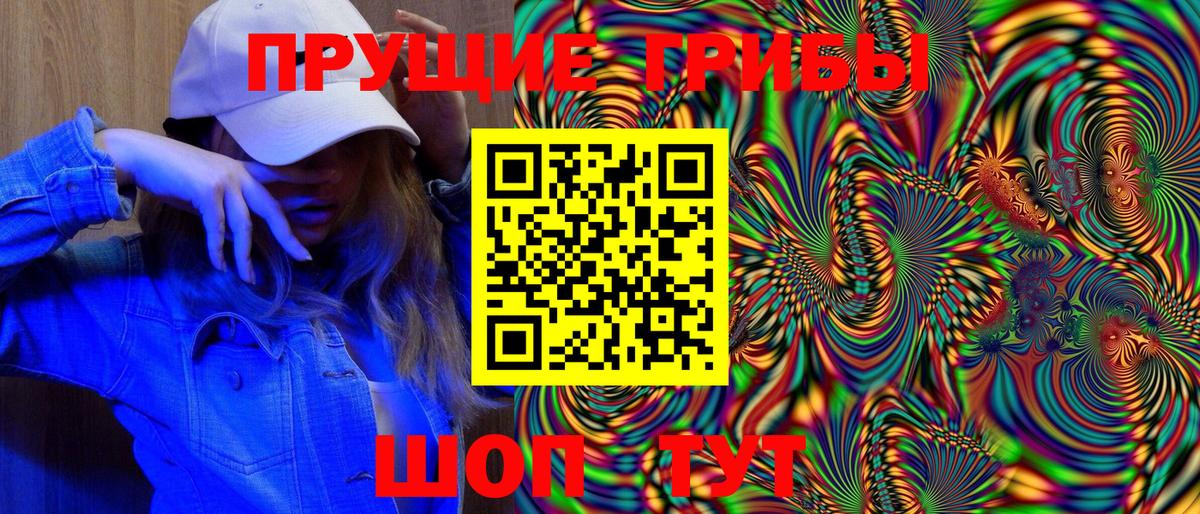 Псилоцибиновые грибы Psilocybe Видное