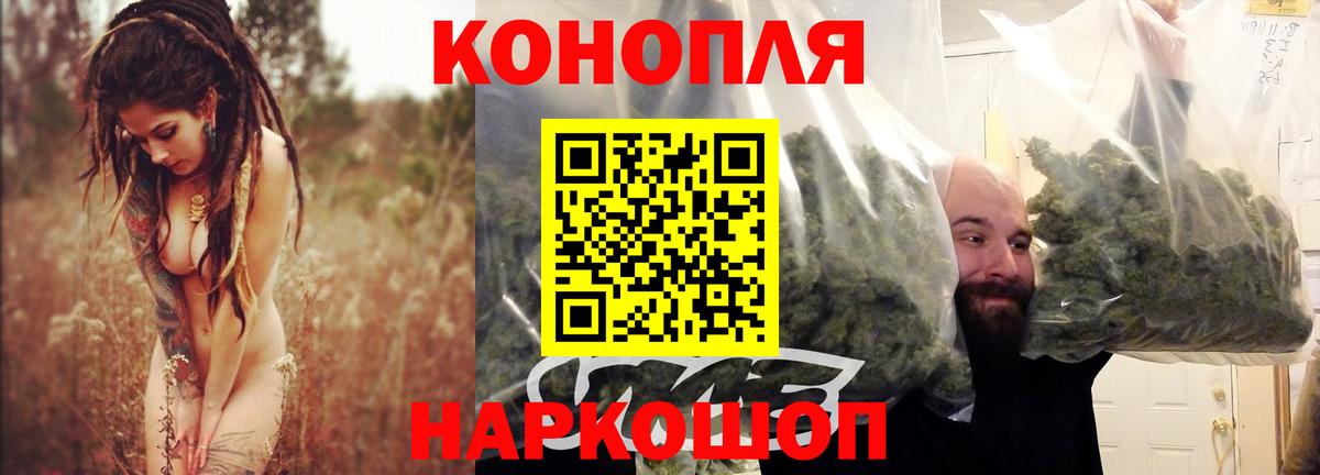 МАРИХУАНА гибрид  Конопля тримм  Видное 